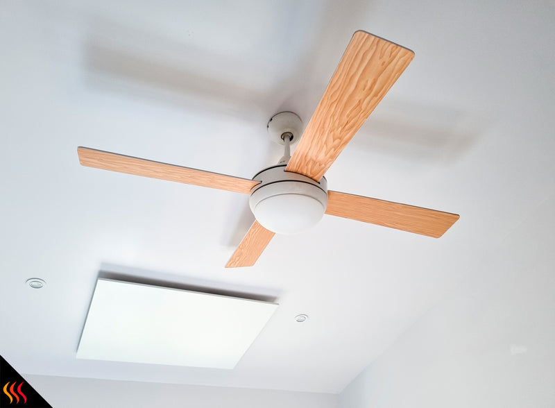 panneau rayonnant infrarouge 450W 60 cm x 80 cm